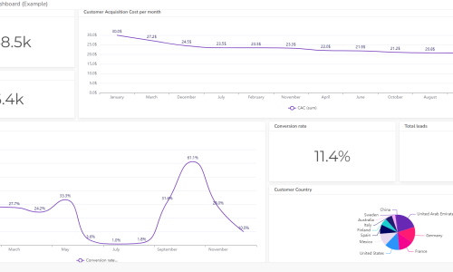 Rental KPI dashboard example